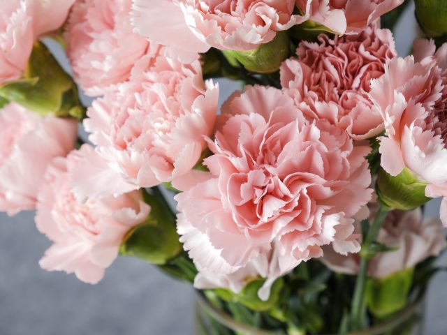 Valentine's Day Flowers